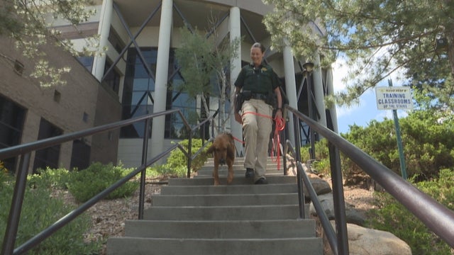 JEFFCO DEPUTY HELPS FIND MISSING KID 5PKG_frame_2036 