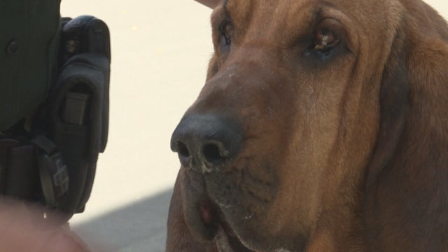 JEFFCO DEPUTY HELPS FIND MISSING KID 5PKG_frame_1718 