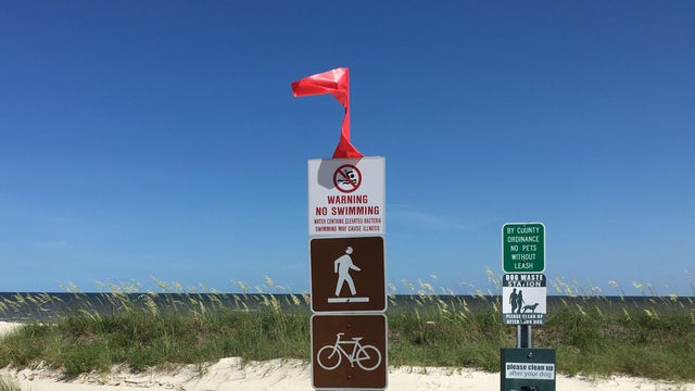 mississippi-beaches-closed-toxic-algae.jpg 