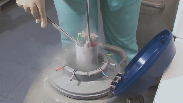 nfa-oliver-ivf-mixup-needs-track-and-gfx-frame-1722.jpg 