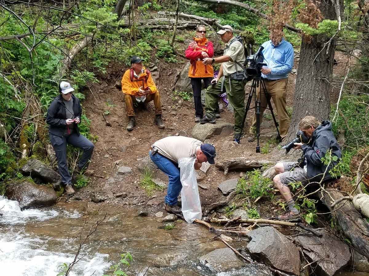 Mule Team Trout 5 (Colorado Parks and Wildlife, Bill Vogrin) 