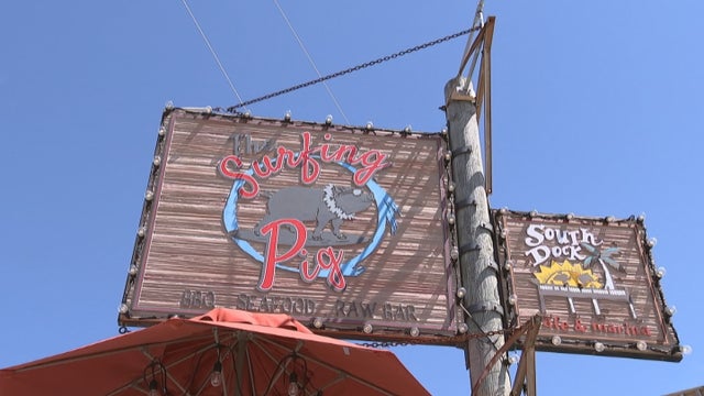surfing-pig.jpg 