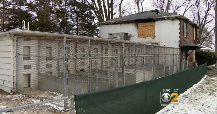 Charges Filed In Suburban Kennel Fire Killing Dozens Of Dogs CBS Chicago
