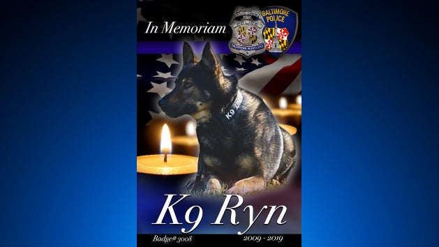 bpd-k9-dies.jpg 