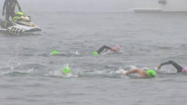 swimmers.jpg 