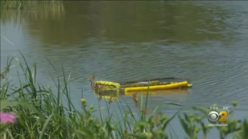 gator-trap.jpg 