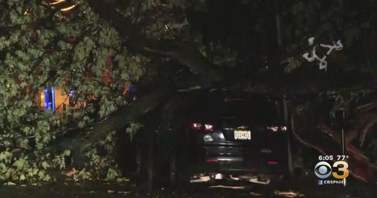 Cleanup Underway After Severe Storms Knock Down Trees, Cause Power ...