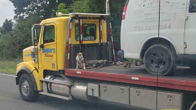 dog-tow-truck-crop.jpg 