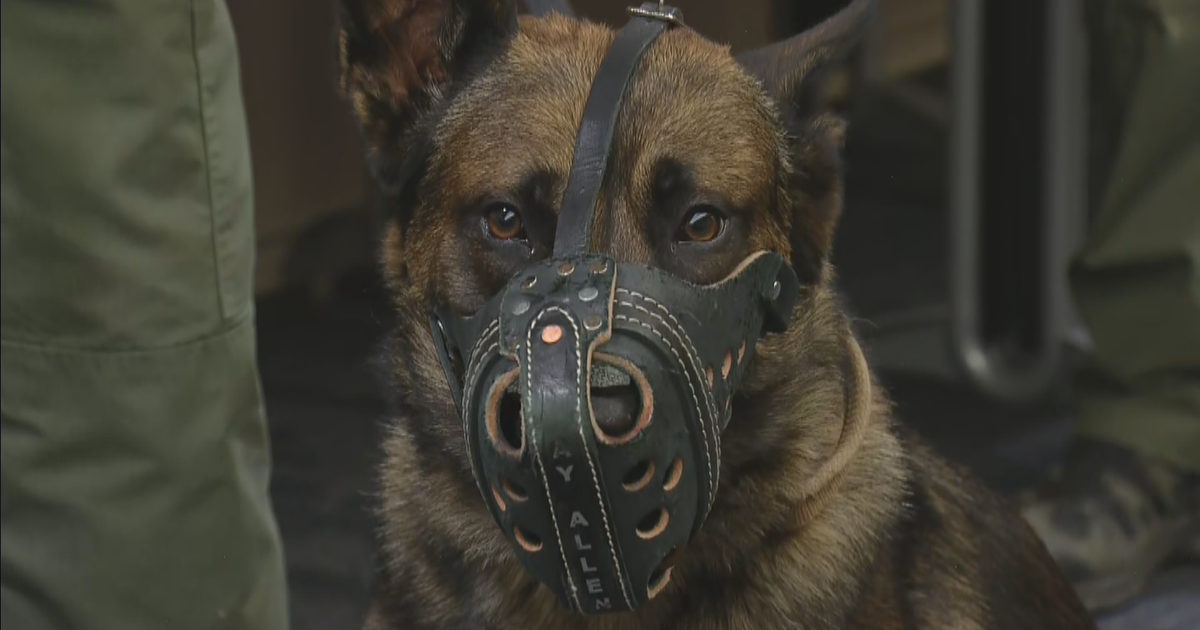 Arapahoe County K9 Unit Will Get A 20,000 Donation For Their Dogs CBS Colorado