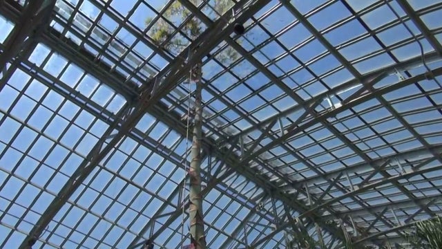 Garfield-Park-Conservatory-Agave.jpg 
