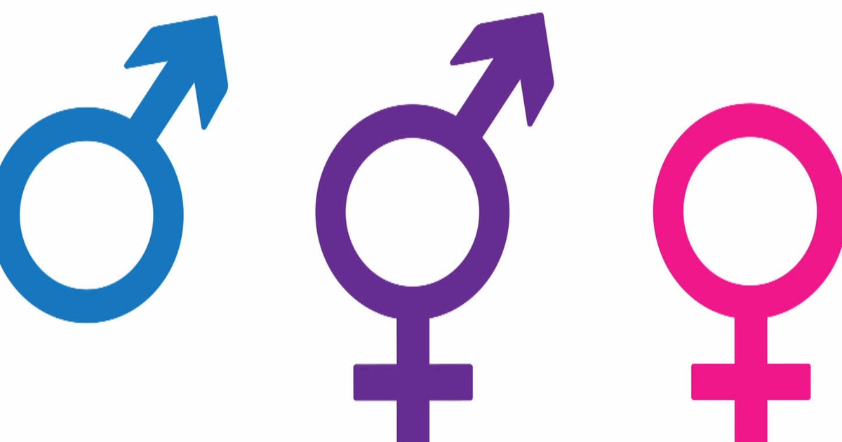 Florida instructors problem particular pronoun law Florida instructors problem particular pronoun law