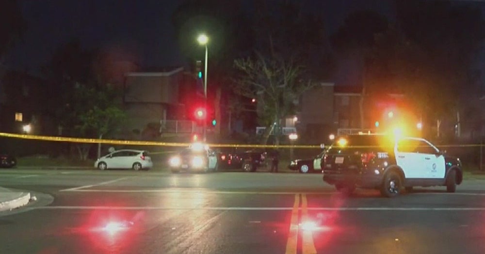 Driver Wanted In Hit-And-Run That Killed Bicyclist In Exposition Park ...