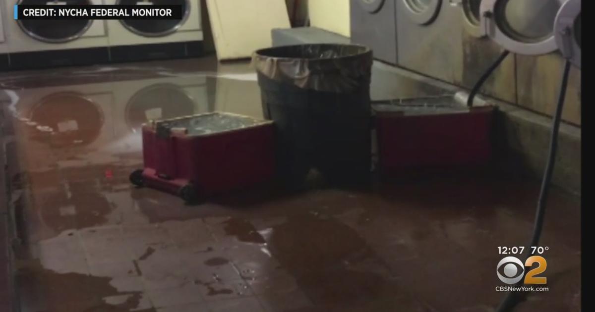 Federal Monitor Finds NYCHA Broke Promises To Clean Up Rats, Mold And ...