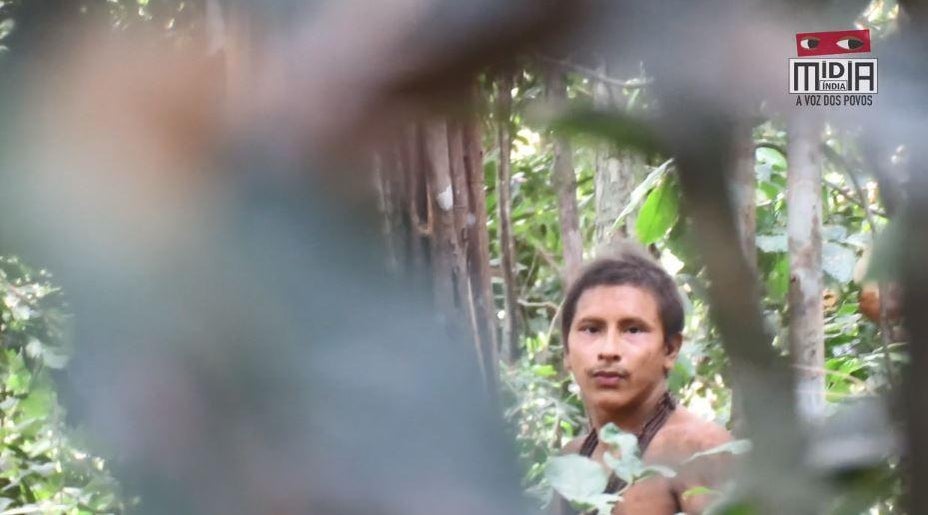 Amazon rainforest: Rare footage shows Awa tribe threatened by loggers ...