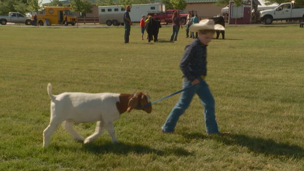 ARAPAHOE FAIR 3 