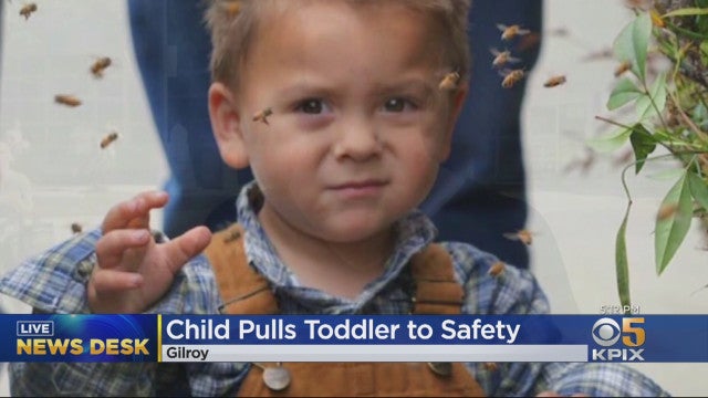 hero-saves-toddler-gilroy-mass-shooting.jpg 