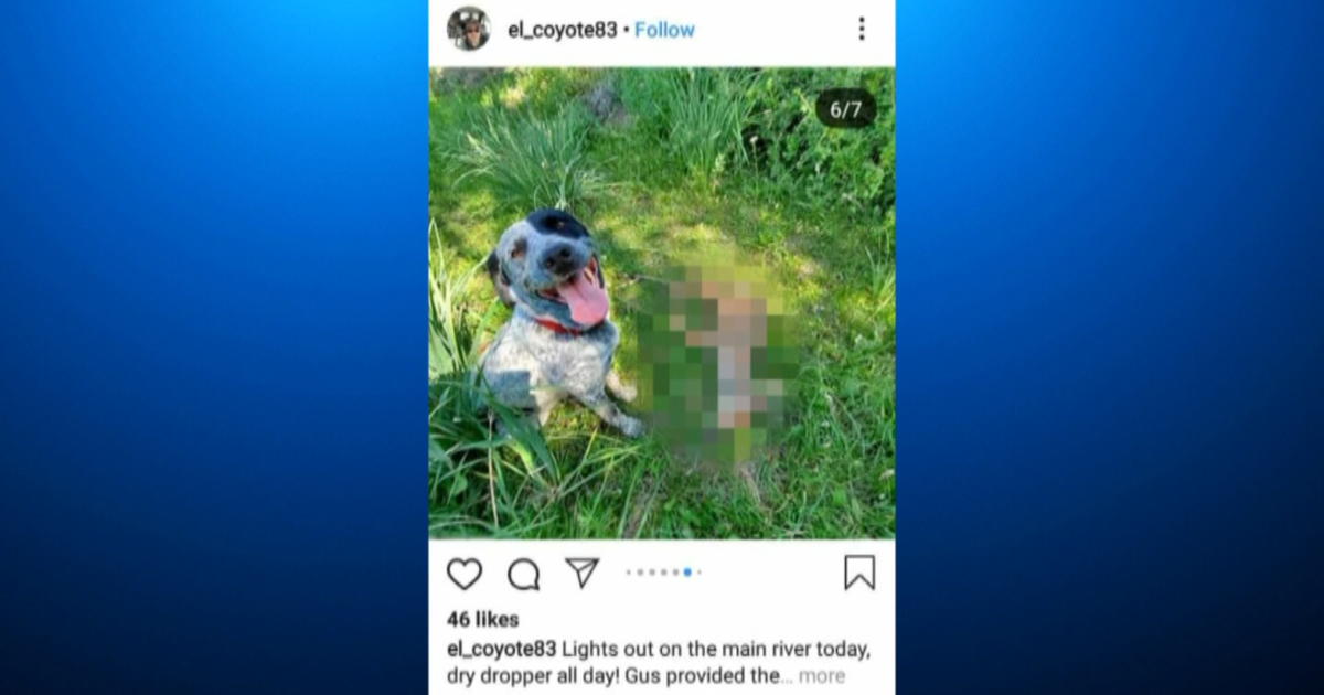 man-facing-charges-after-posting-pictures-of-dog-killing-fawn-cbs