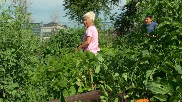 garden (1) 