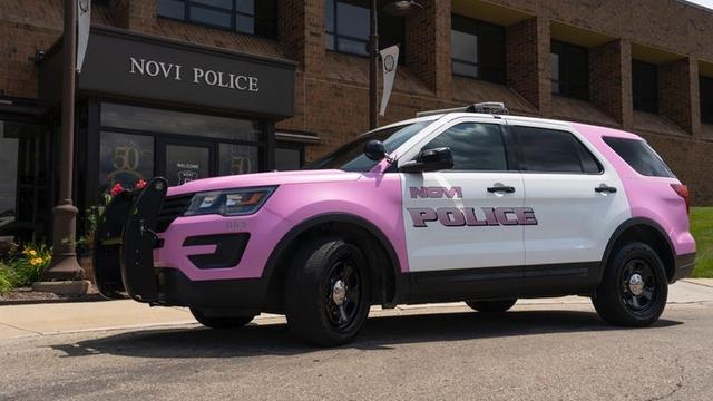 novi-police-go-pink1___01092927347.jpg 