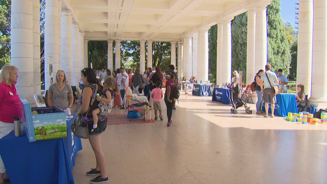 BREASTIVAL 5PKG.transfer_frame_159 