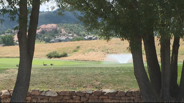 DEER POACHED 5PKG.transfer_frame_271