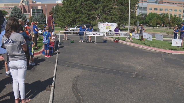 CHILDREN'S MEDIA CHALLENGE 6 PKG_frame_168 