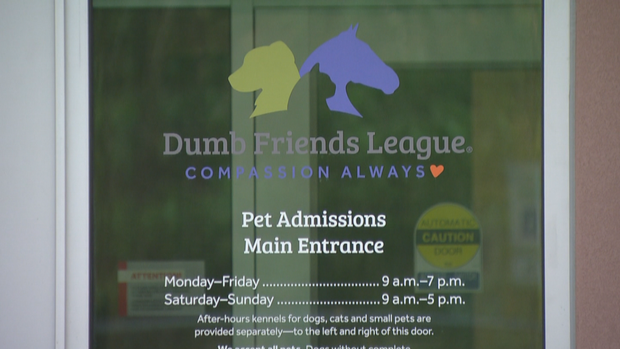 DDFL NEW SHELTER 10PKG.transfer_frame_633