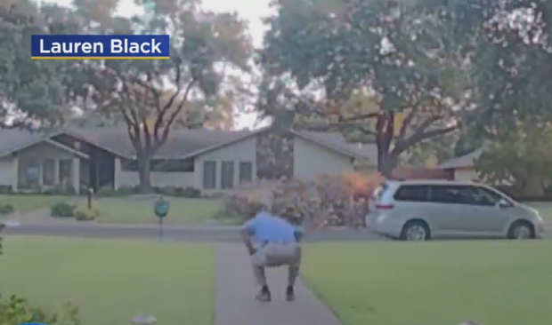 North Dallas homeowner ducks for cover from dive-bombing bird 
