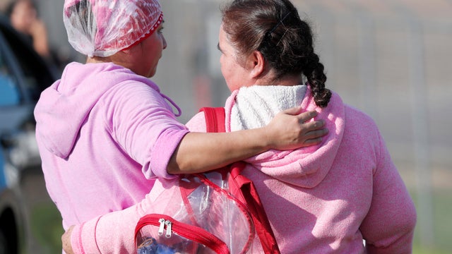 Immigration Food Plant Raids 