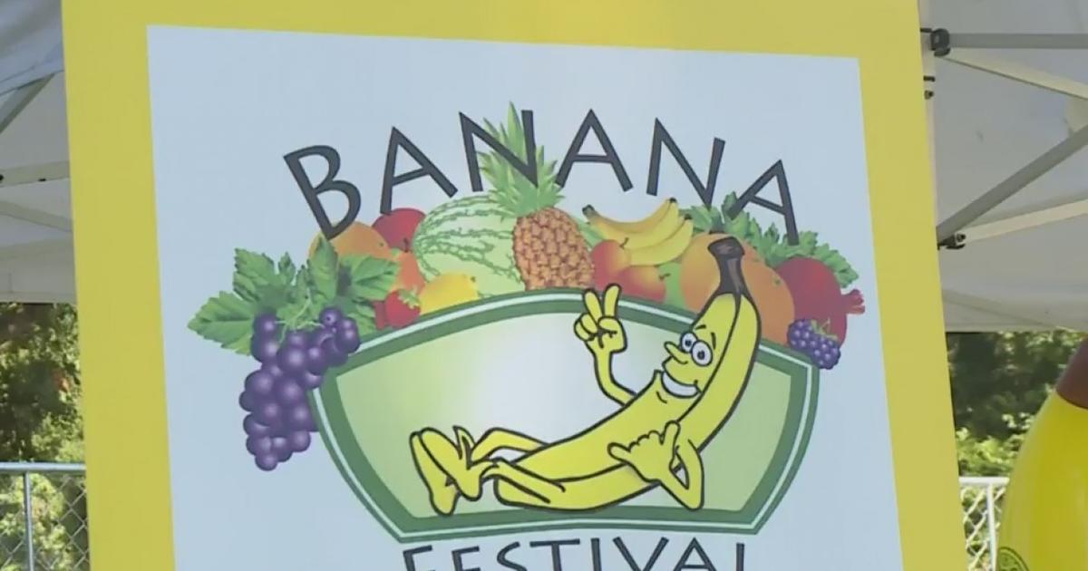 Sacramento Banana Festival Wraps Up 10th Year CBS Sacramento