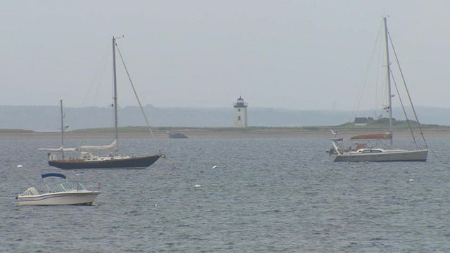 harbor.jpg 