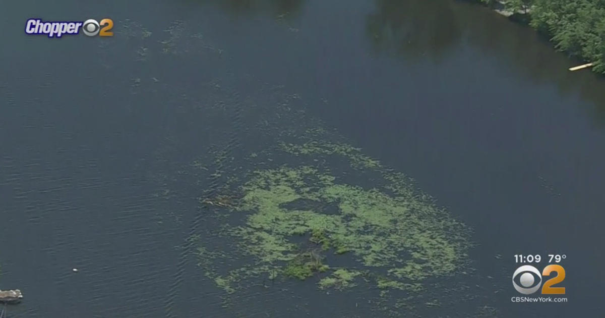 N.J. Grants Nearly 70,000 To Help Fight Algae Blooms At Lake Hopatcong