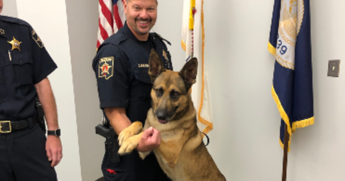 DuPage County Sheriff's Office Welcomes Explosive-Sniffing Canine ...