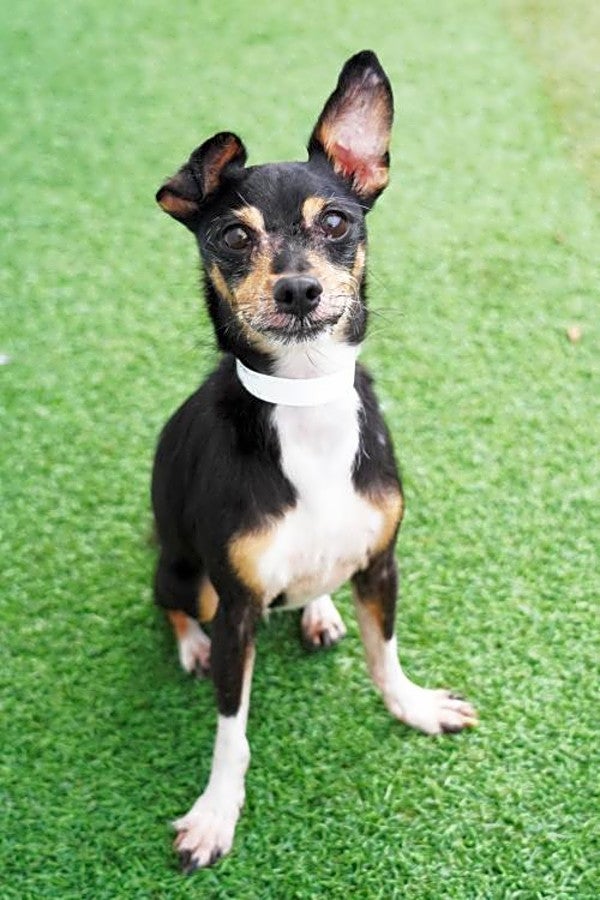 Tucker (Hoodline, Do Not Use) 