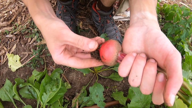 Loveland Gardeners 5 