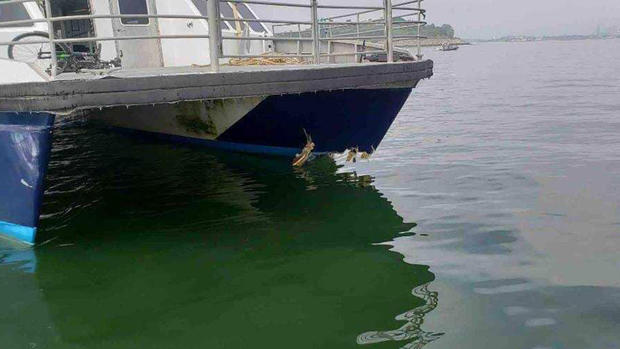 ferry damage 