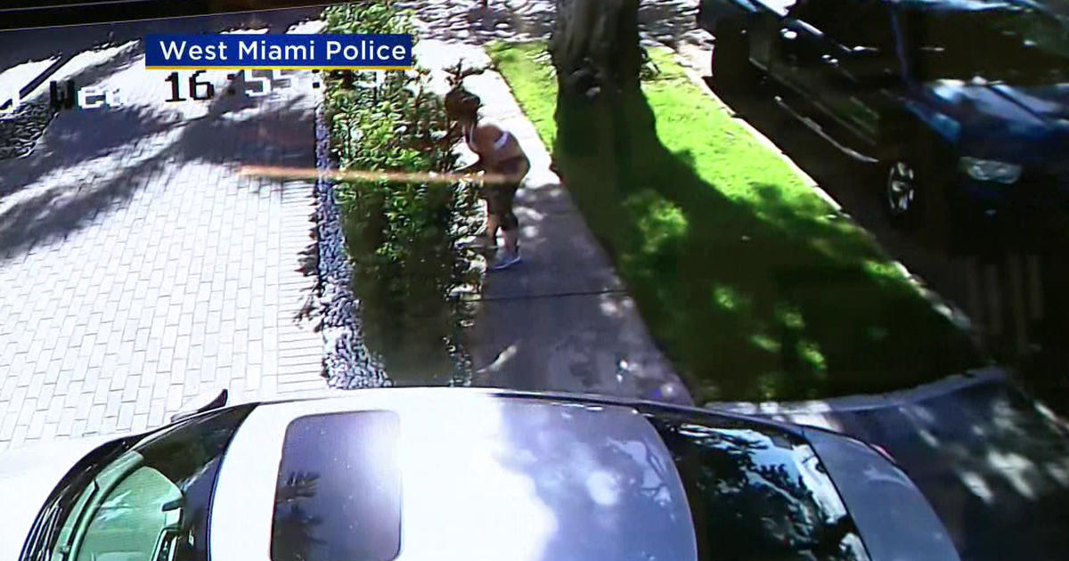 West Miami Mail Thief Caught On Camera Cbs Miami