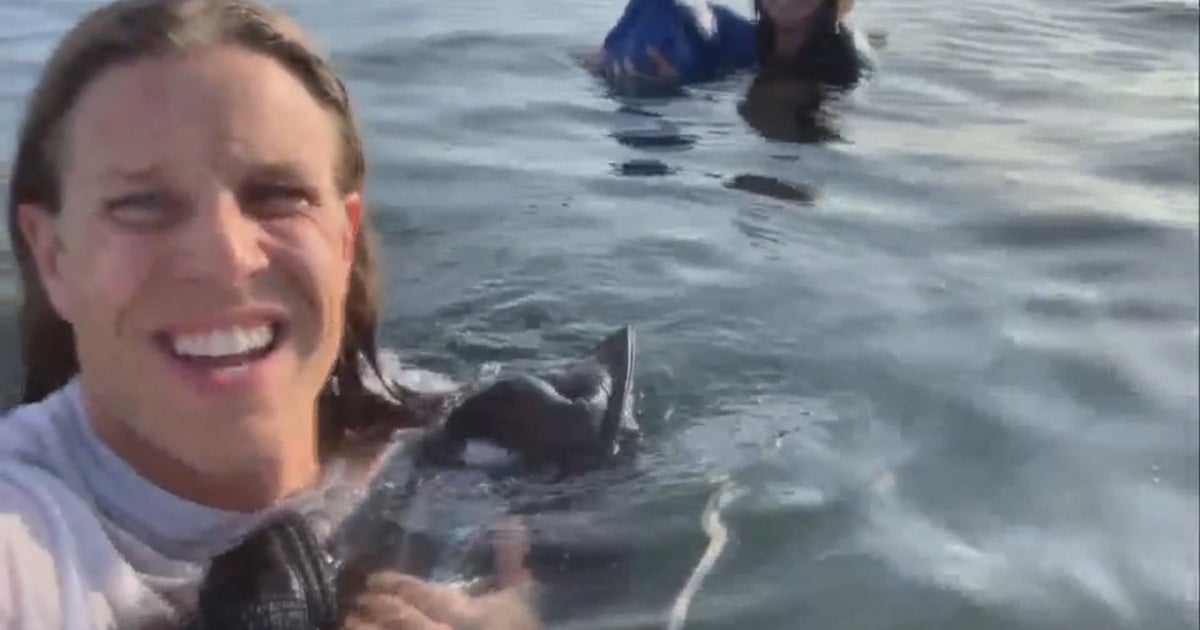 Denver Man Records Plane Crash Rescue On Social Media - CBS Colorado
