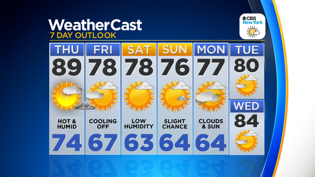 Nu_Tu_7Day_Auto_Logo 