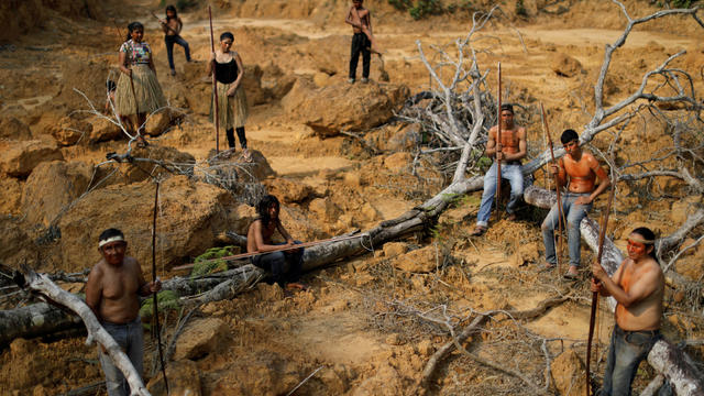 Indigenous people from the Mura tribe show a deforested area in unmarked indigenous lands inside the Amazon rainforest near Humaita 