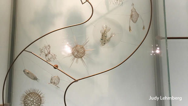 protozoans-biodiversity-exhibit-painstakingly-created-from-glass-judy-lehmberg-620.jpg 