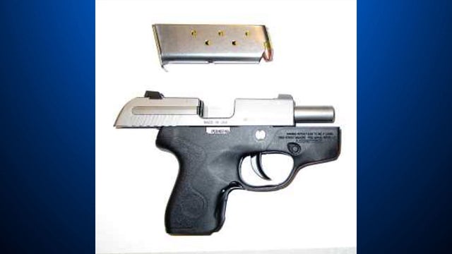 tsa-gun-824.jpg 