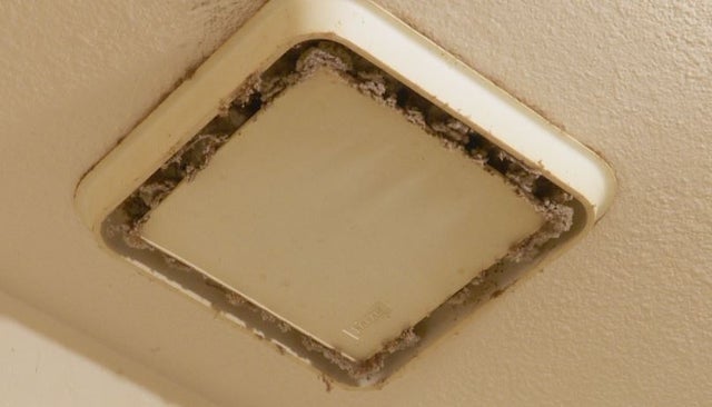 Nasty House 7 (weis) 