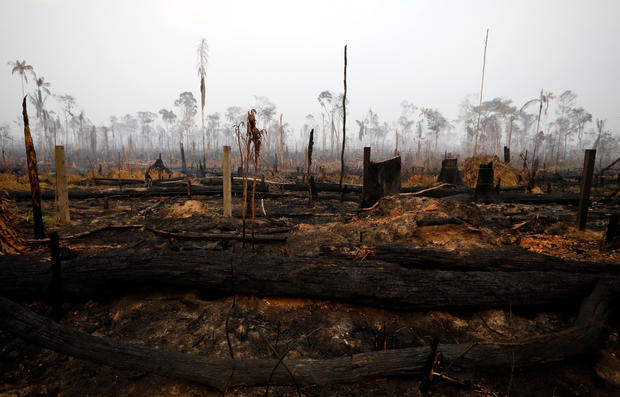 A tract of Amazon jungle is seen after a fire in Boca do Acre 