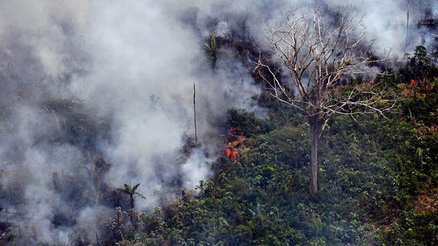 BRAZIL-AMAZON-DEFORESTATION 