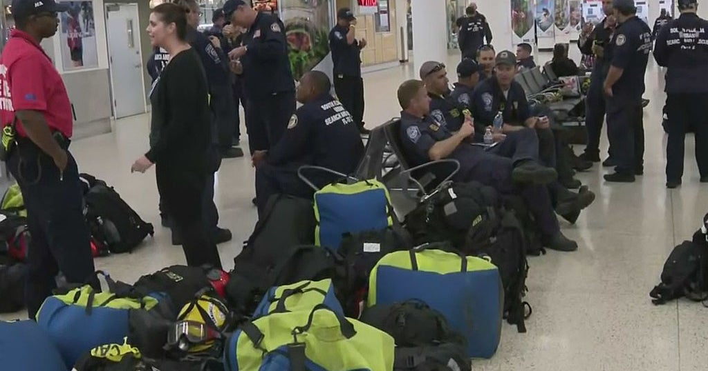Miami-Dade Hearth Rescue to deploy canine look for staff to support in Maui response endeavours Miami-Dade Hearth Rescue to deploy canine look for staff to support in Maui response endeavours