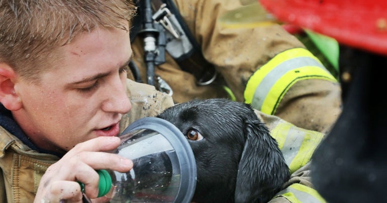Firefighters Save Puppies From Burning House Hit By Lightning - CBS Texas