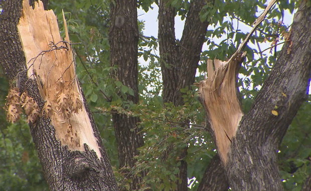 North Dallas storm damage 