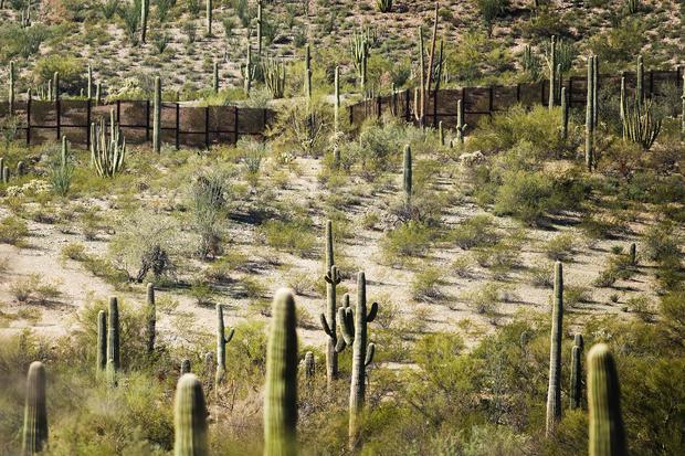 Organ Pipe Cactus National Monument 