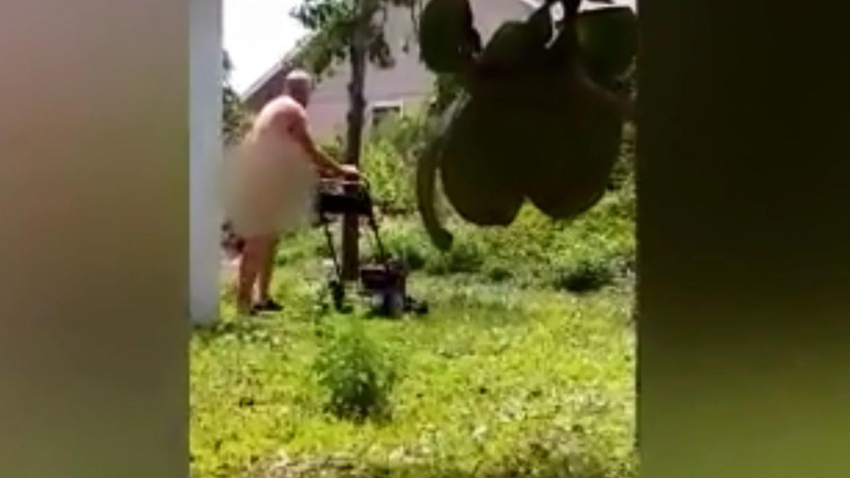 Florida Man Caught On Camera Mowing Yard Naked Fights To Get Job Back Cbs Miami